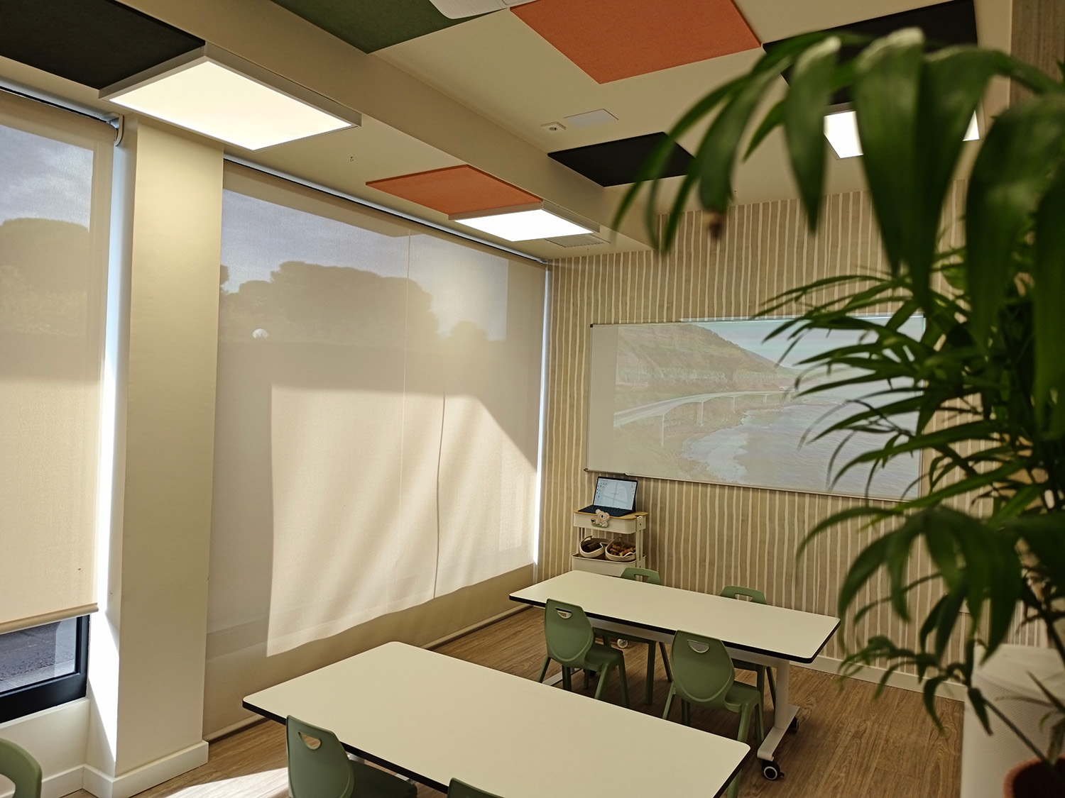 Coaletes. Espai Eucaliptus